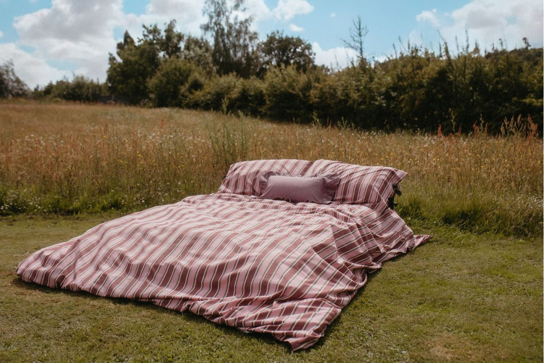 The Sleep Collection