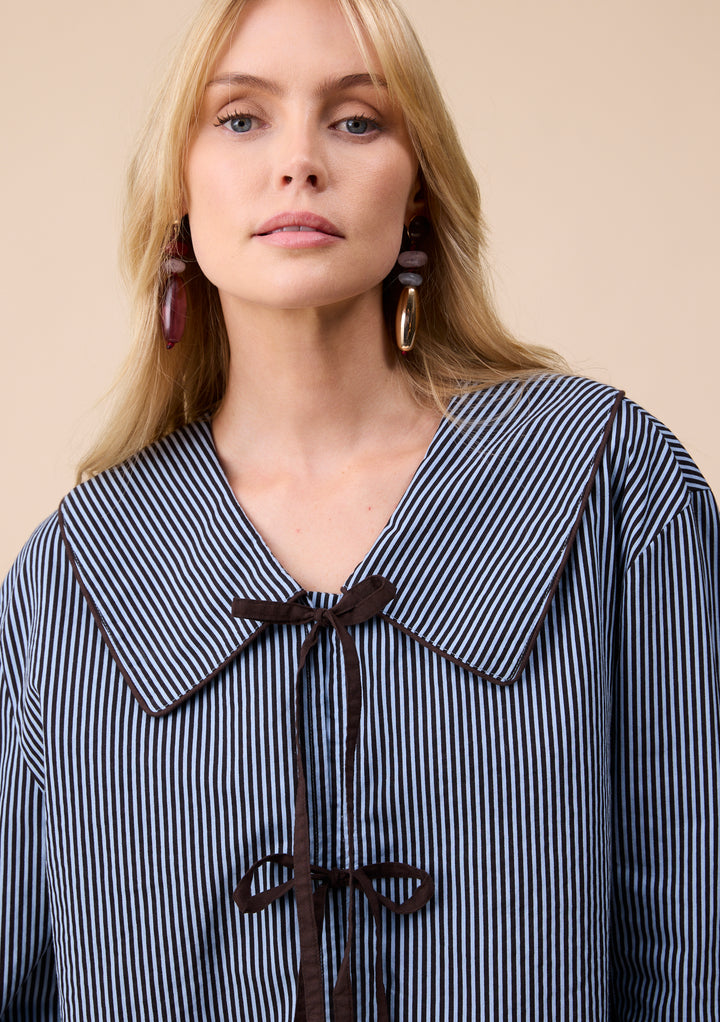 Cotton Shirt in Blue Stripe