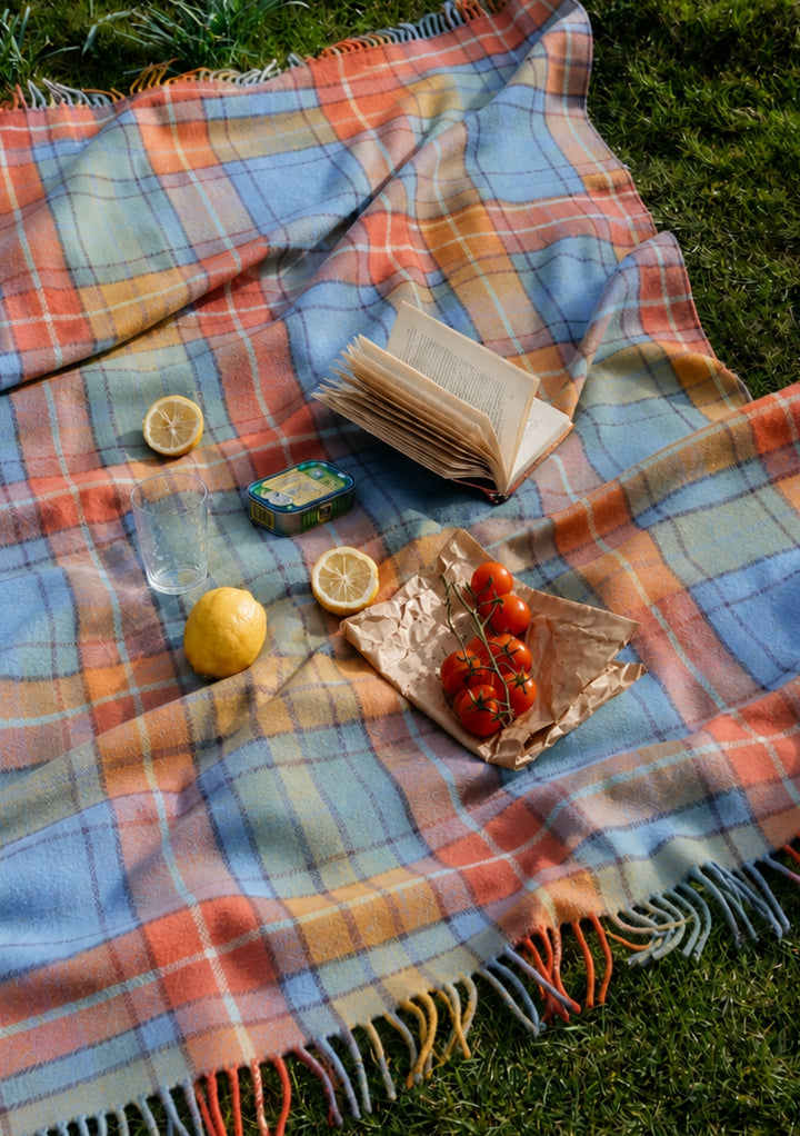 Couverture de pique-nique en laine recyclée en tartan antique Buchanan