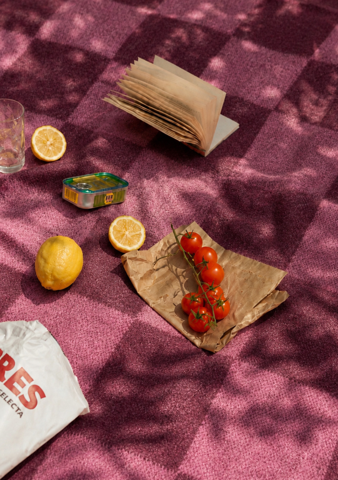 Water Resistant Recycled Wool Picnic Blanket in Rose & Fig Checkerboard