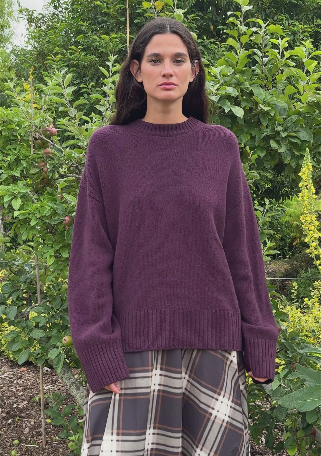 Merino Wool Crew Neck Jumper in Fig